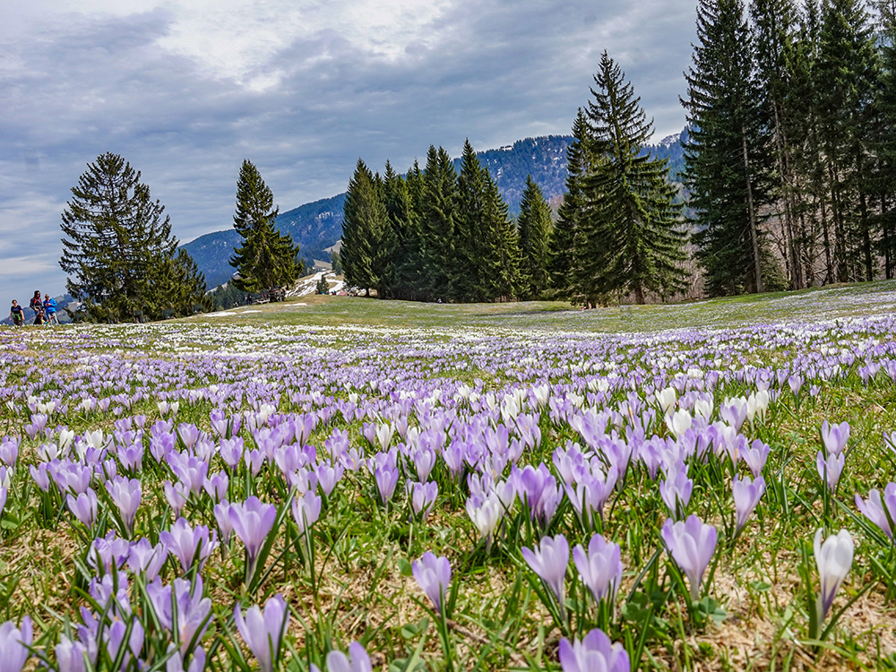 Hündle Wanderung Frau Bergschön